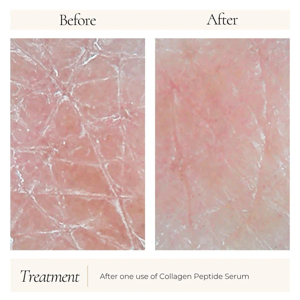LeMieux - Collagen Peptide Serum